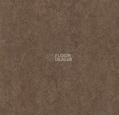 Линолеум Forbo Marmoleum Decibel on Order 387435 walnut фото 1 | FLOORDEALER